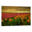 « inclinable tulipes i », reproduction de photo sur toile-21493080-72005698