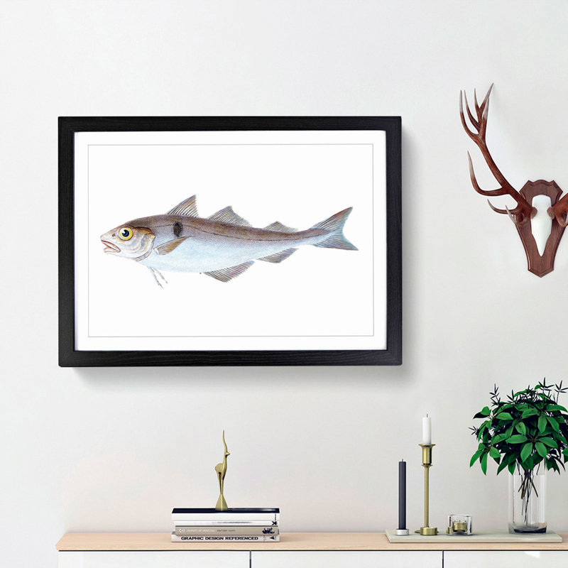 Haddock Fish by Edward Donovan - Picture Frame Painting Print, 27cm H x 36cm W x 2cm D, Black Framed
