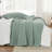 Bedsure Quilt Set for Dorm Decor, Lightweight All-Season Comforter, Bedspread Coverlet with Clover Pattern-100517488-110437361