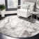 Ahanu Abstract Area Rug