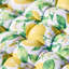 Lemon Patterned Outdoor Garnde Bench Seat Pad Mattress