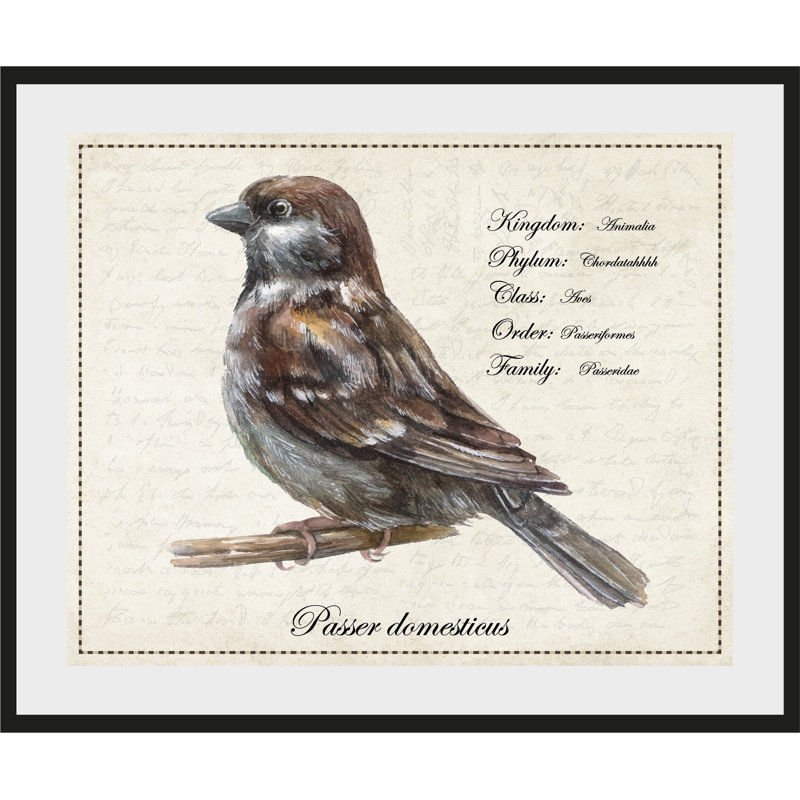 Bird - Single Picture Frame Print, 60 cm H x 50 cm W