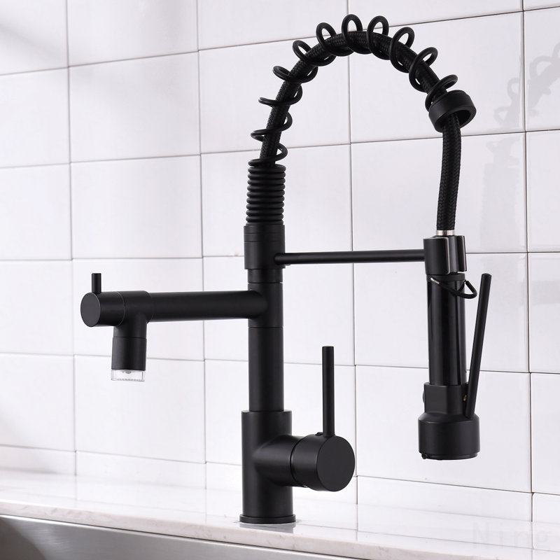 Robinet d'évier de cuisine à poignée simple avec douchette extractible