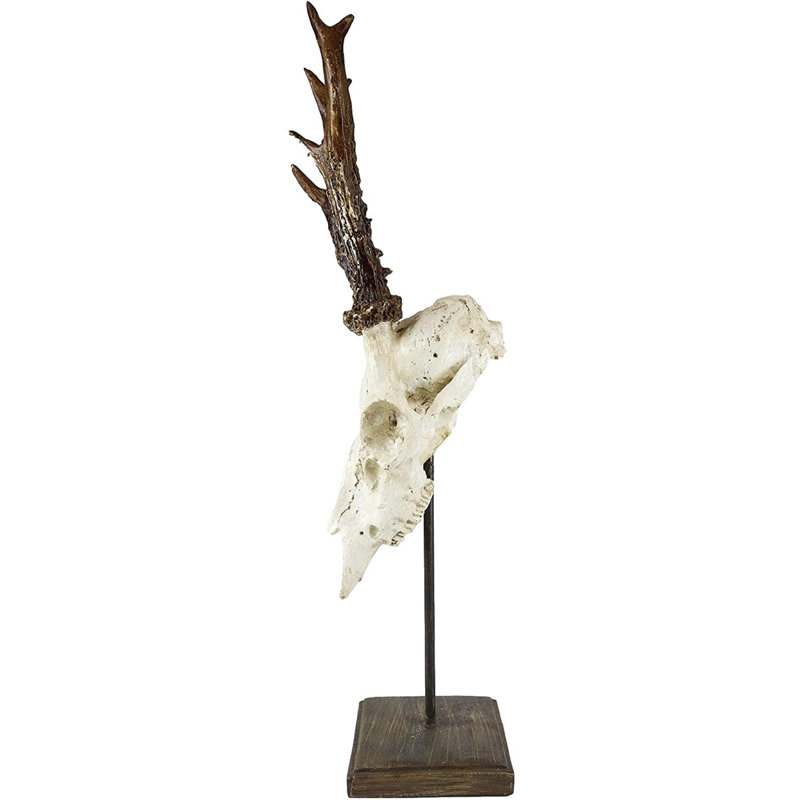 Animals Bust