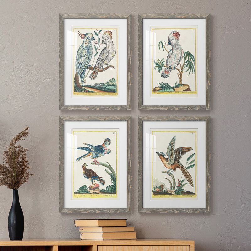 «Pastel Birds I», ensemble de 4 reproductions de cadres photo, H 20 po x l 68 po x P 1,5 po, gris