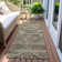 Thienan Washable Southwestern Indoor / Outdoor Rug