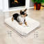 Lit pour chien Pixie Pad-443821396-443821401