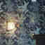 Photos des clients 2 de 3