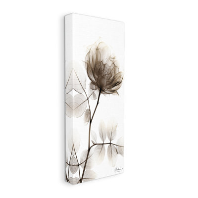 Contemporary X-Ray Flower Canvas Wall Art Design By Albert Koetsier