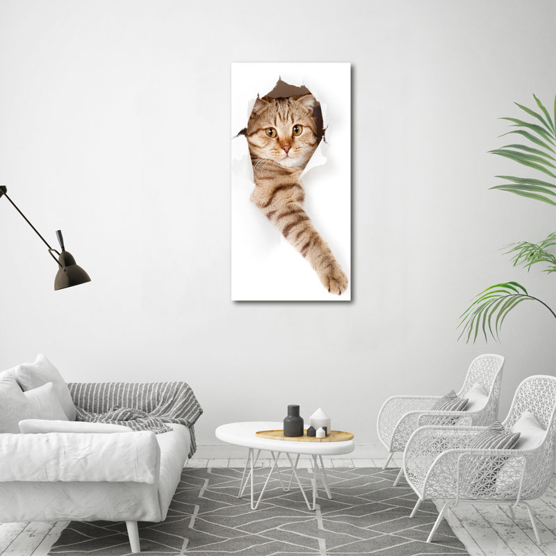 Cat - Wrapped Canvas Print