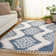 Baar Tassel Shag Performance Southwestern Rug