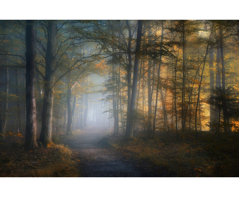 Wrapped Canvas Print, 76.2 cm H x 50.8 cm W