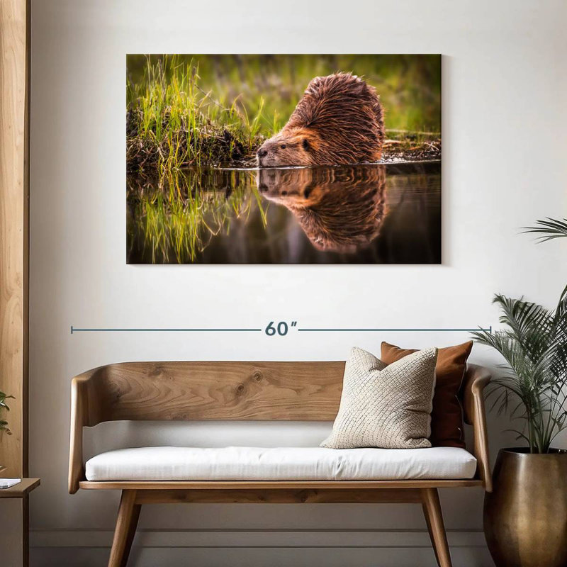 Beaver, 30" H x 45" W