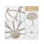 Lustre rond blanc rustique 9 lumières 28,35 po Farmhouse
