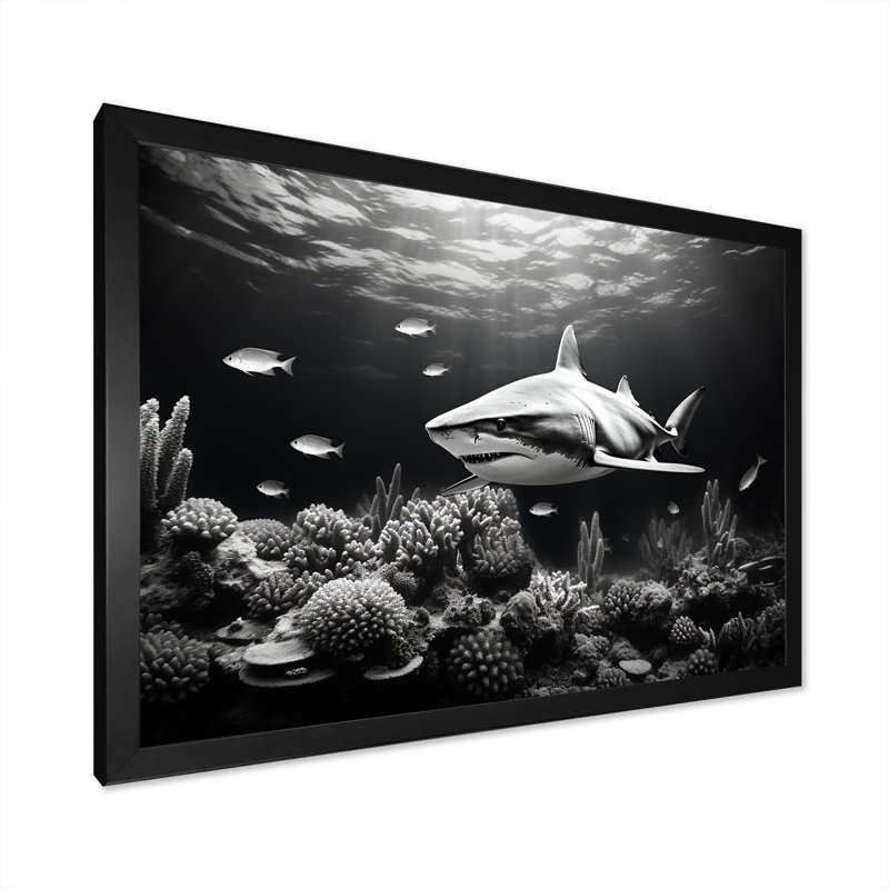 Requin noir et blanc glissant sur toile, Cadre photo noir simple, H 12 po x l 20 po x P 1 po