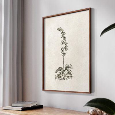 «Vintage Floral Print XXXII» sur