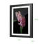 Cadre photo simple en bois-1413890331-1413890328