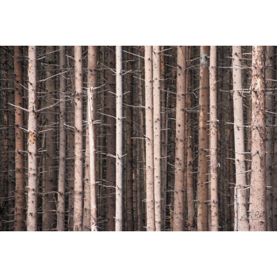 «Prickly On Canvas» par Martin Podt, reproduction
