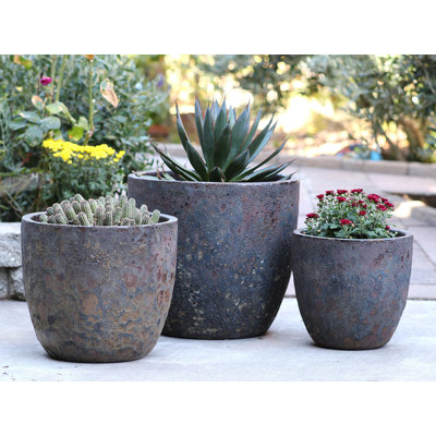 Coco Pots Coral