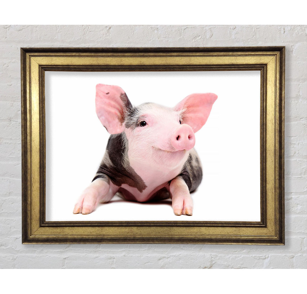 Happy Pig - Bilderrahmen Kunstdrucke