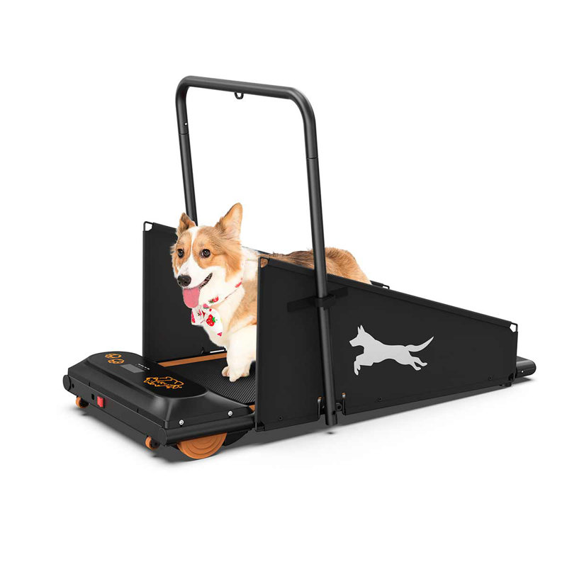 Machine d'exercice pour chien pour petits chiens