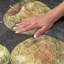 Tapis à poils longs de qualité supérieure lavable à la machine ADS163-866974785
