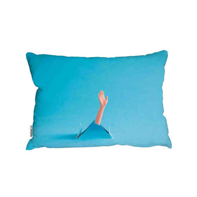 Cushion