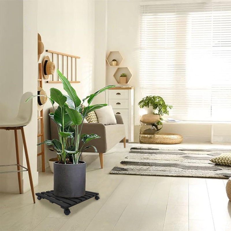 Support pour plante Stelu, H 3 po x l 20 po x P 20 po, Noir