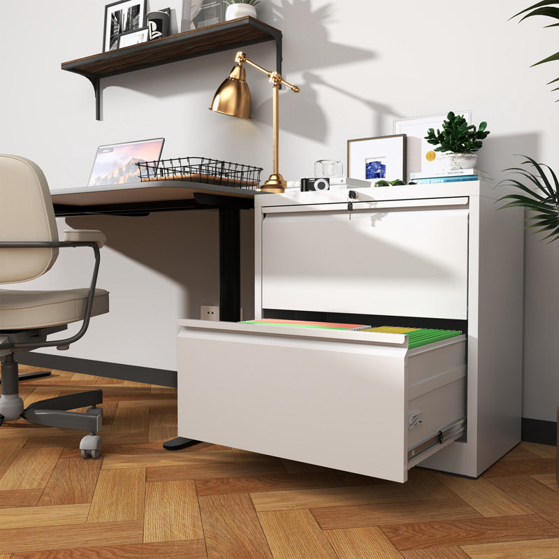 metal frame File Cabinet with 2 Drawers, White