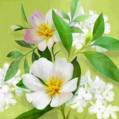 «Spring Primrose» par House Fenway - impression sur toile tendue