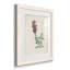 Traditional Botanical I - Ensemble de 4 peintures encadrées-1560402379-1560402378