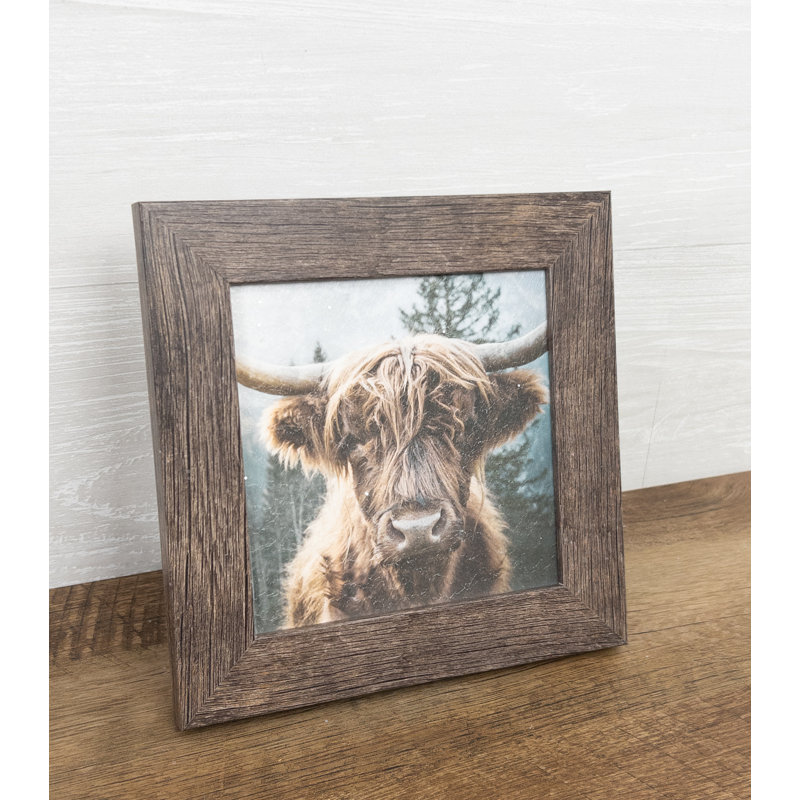 Highland Cow Bétail, art encadré sur papier