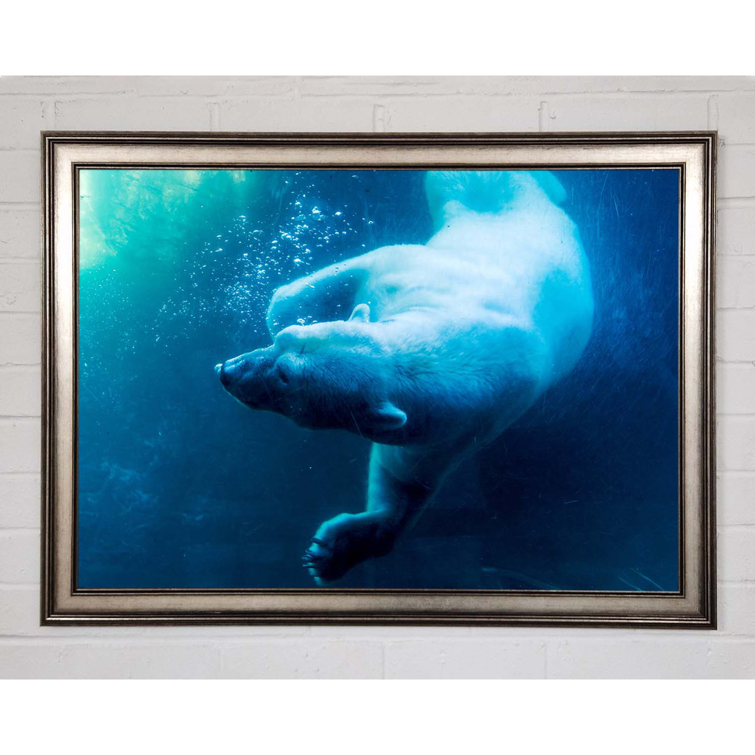 Gerahmtes Poster Polar Bear Swimming