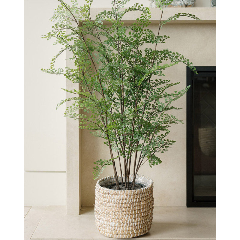 Faux Maidenhair Fern