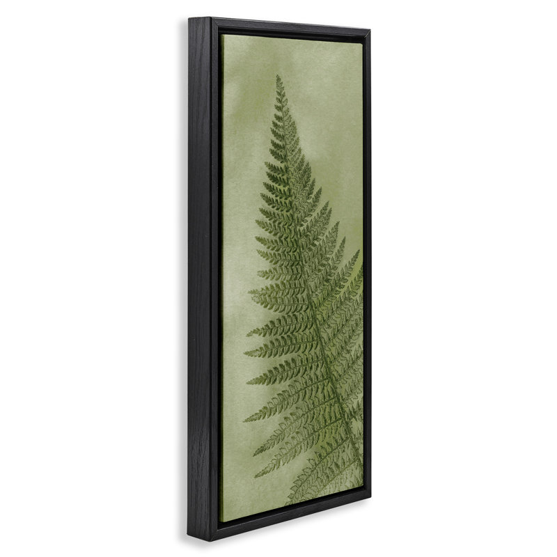 Feuille de fougère verte détaillée, H 25 po x l 11 po, Cadre flottant noir de jais