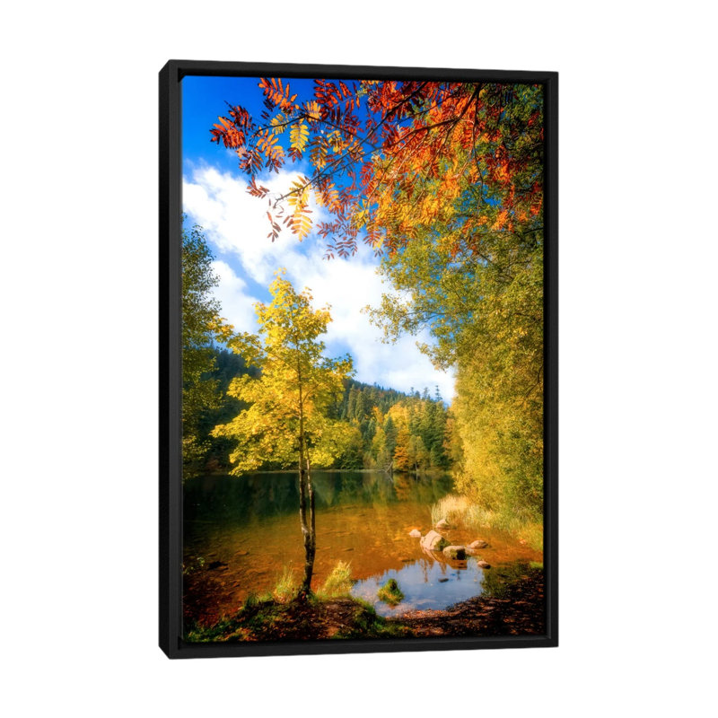 Fall Framing by Philippe Sainte-Laudy - Print on Canvas, 101.6 cm H x 66.04 cm W, Black Framed
