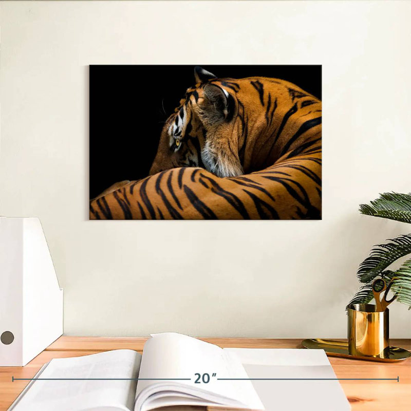 Tigre majestueux Brampt, H 8 po x l 12 po