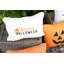 Holiday Pillows Square Indoor/Outdoor Pillow Cover & Insert