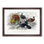 Wild Turkey & Curassow Birds by Oliver Goldsmith - Framed Print-55612298-55612290