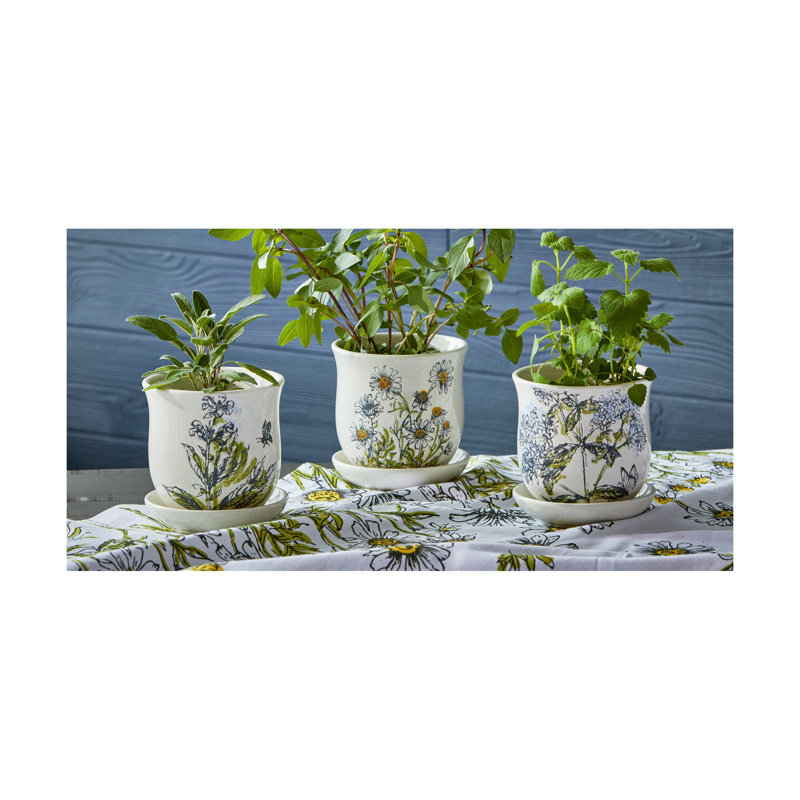 Sage Planter W/ Saucer Set