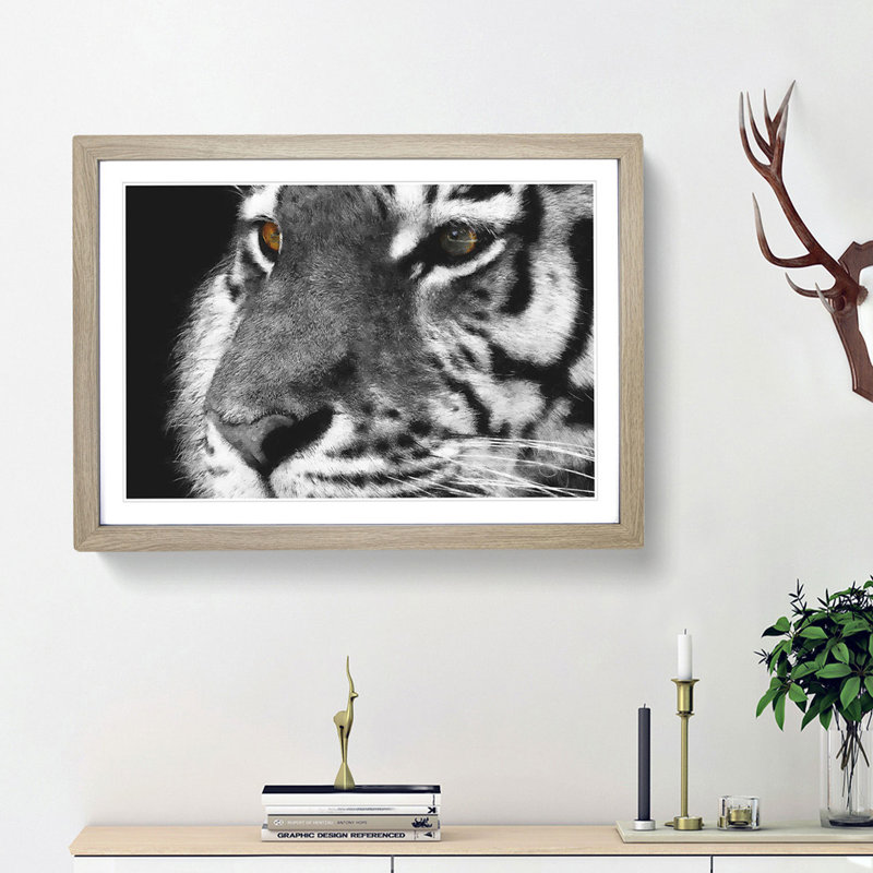 Eyes of the Tiger - Picture Frame Graphic Art Print, 45cm H x 63cm W x 2cm D, Oak Framed