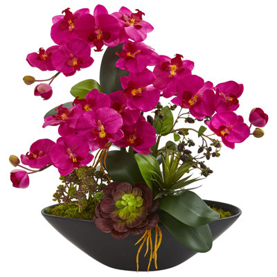 Orchids Arrangement in Vase