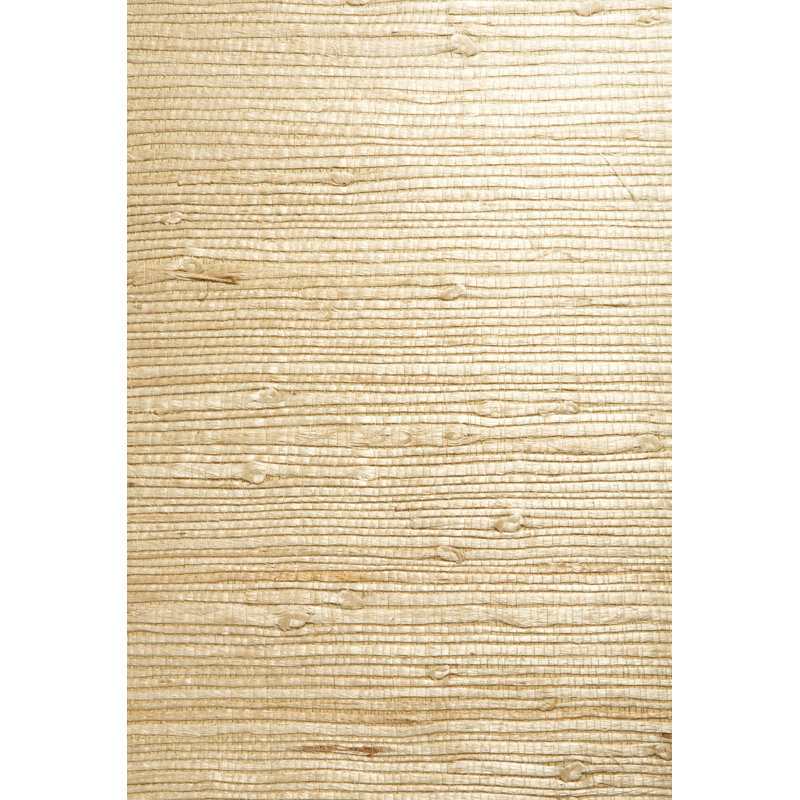 Papier peint vichy 24 pi x 36 po Daleyza, Beige