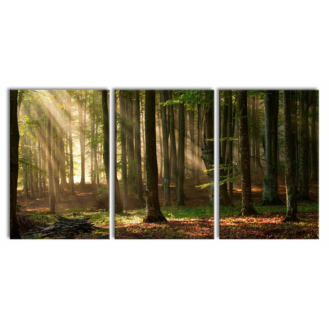 3-tlg. Leinwandbilder-Set Trees in Light