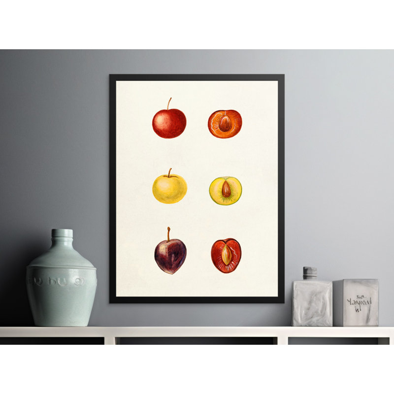 Denardo Single Picture Frame Print, 35.56 cm H x 27.94 cm W
