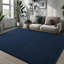 Solid Colour Shag Area Rug-118262133-121281095
