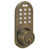Antique Brass