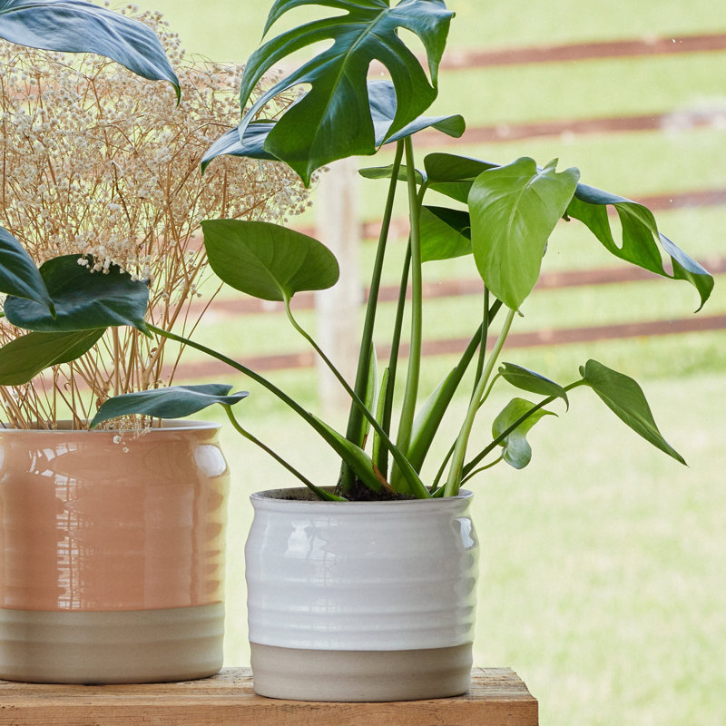 Puro Ceramic Cachepot, White