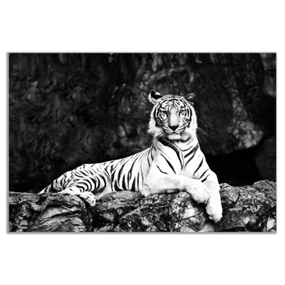 White Tiger Lie On Rock - Wrapped Canvas Print