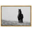 Lone Stallion I Print by Oliver Gal-1449282917-1449282943